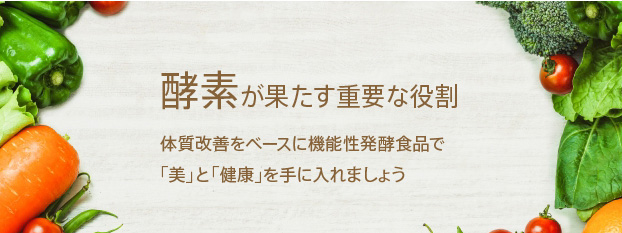 酵素が果たす重要な役割